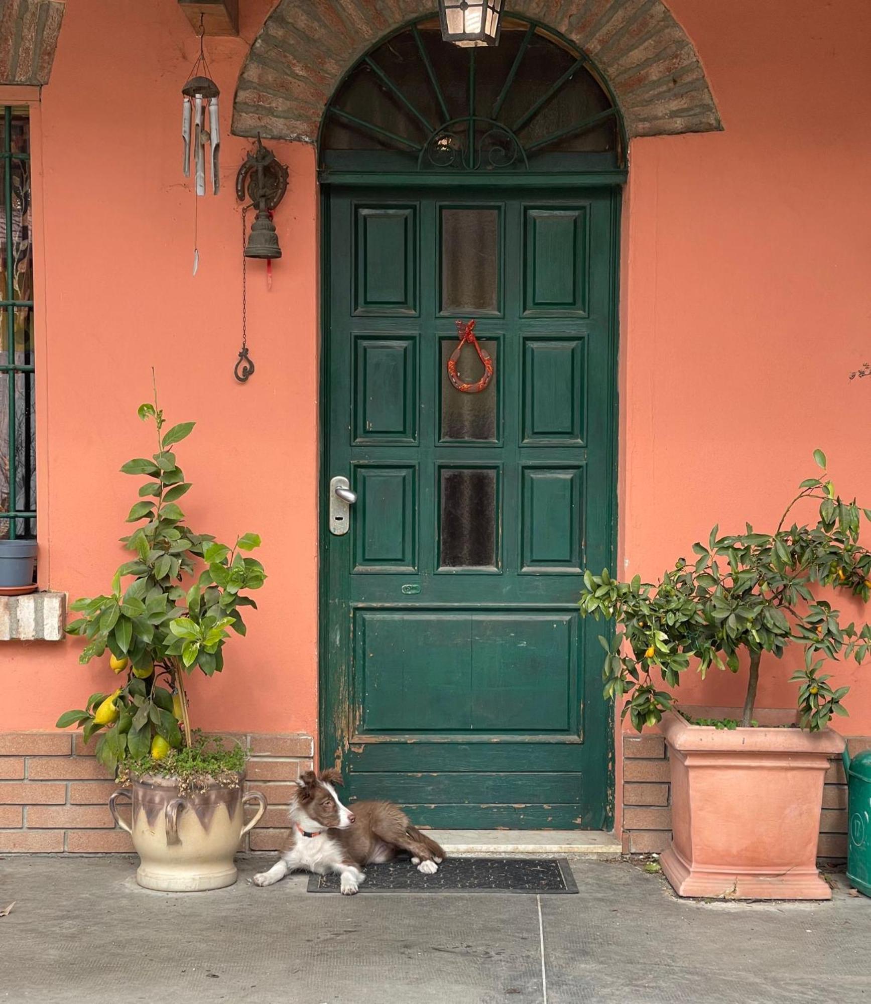 B&B La Cascina Di Alice Castiglione Delle Stiviere Ngoại thất bức ảnh